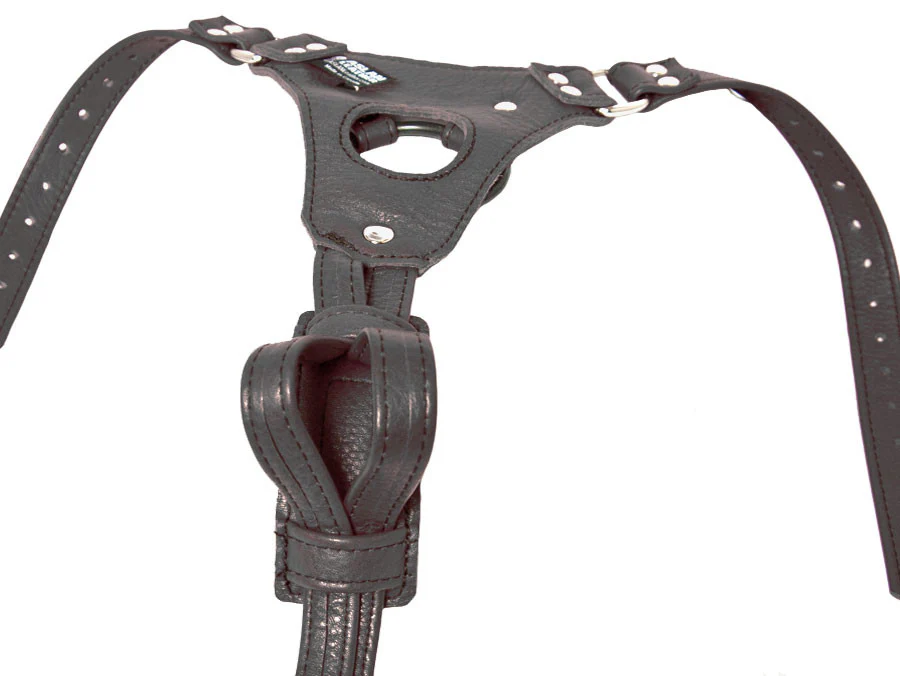 Aslan Double Up Dildo Cuffs - Purple - Image 3