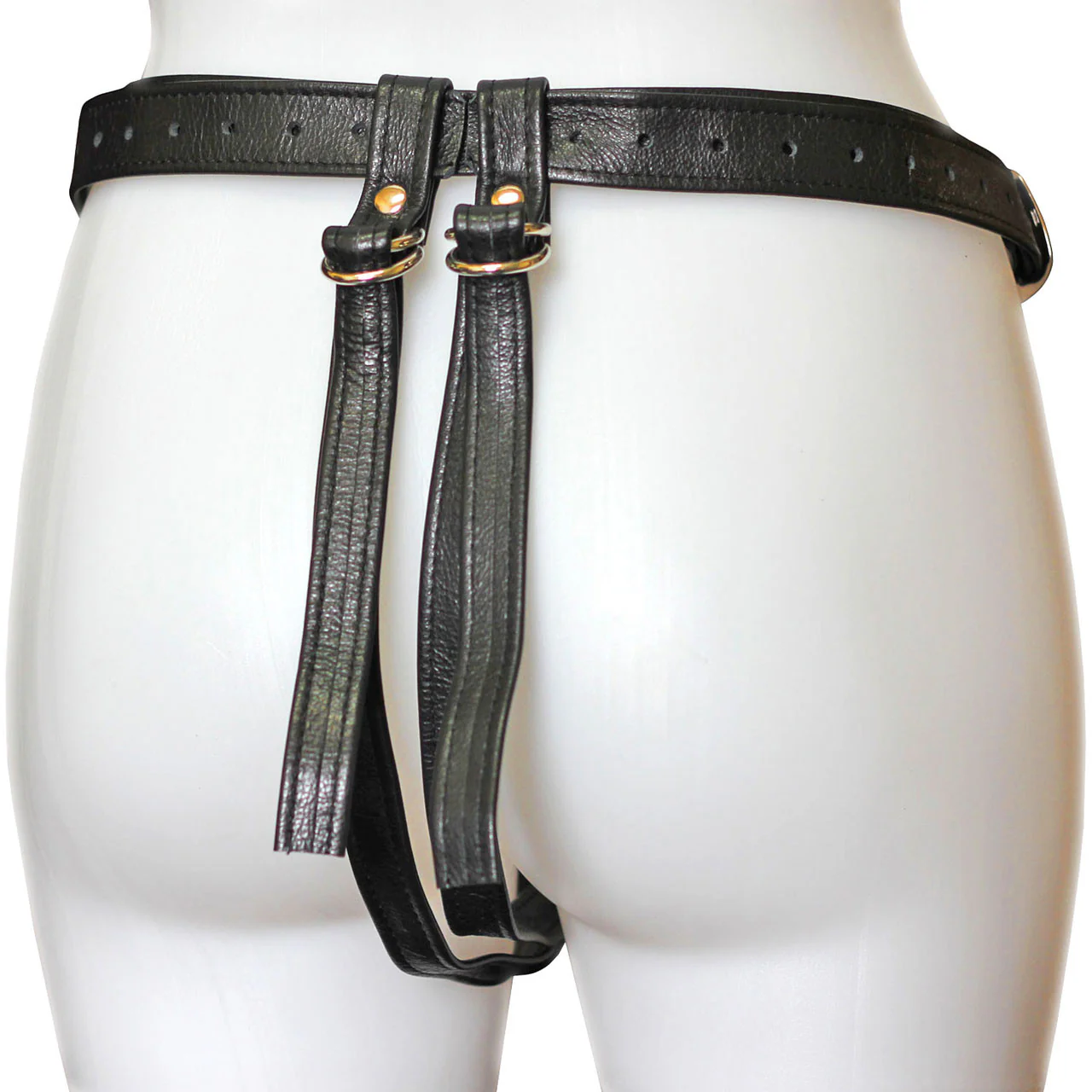 Aslan Jaguar Harness Black & Brass - Image 2