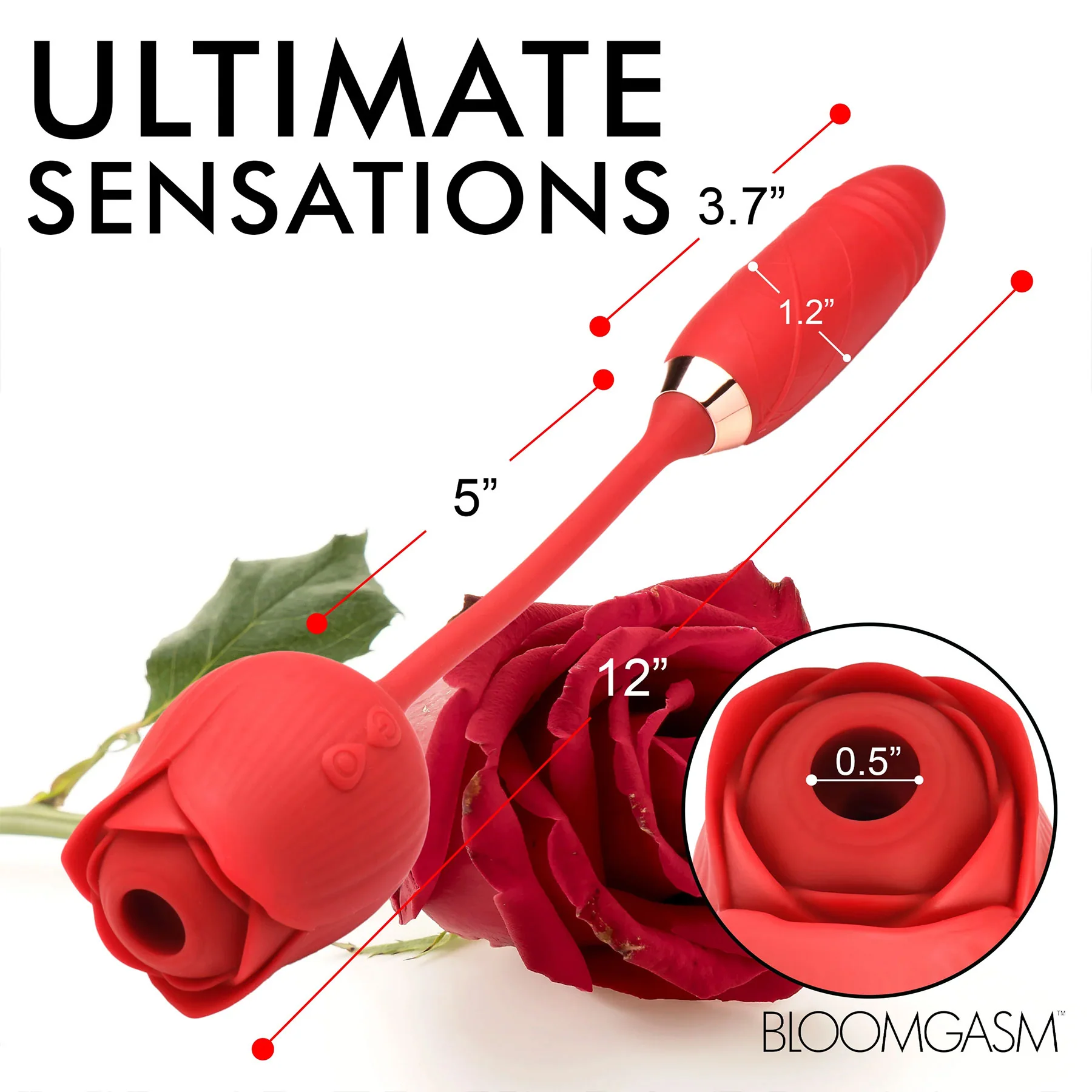 Bloomgasm Romping Rose 10X Silicone Suction Rose & Thrusting Vibrator - Image 20