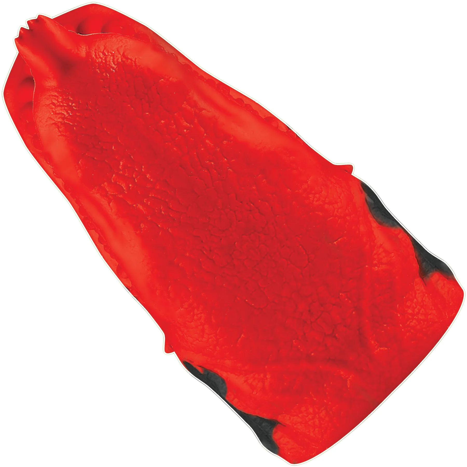 Dragon Tamer Silicone Penis Stroker By Creature Cocks - Image 16