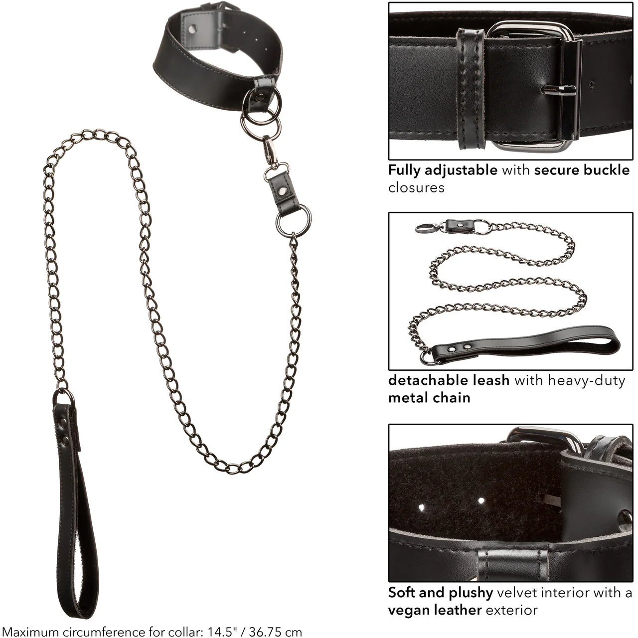 Euphoria Collection Collar With Chain Leash By CalExotics - Image 6