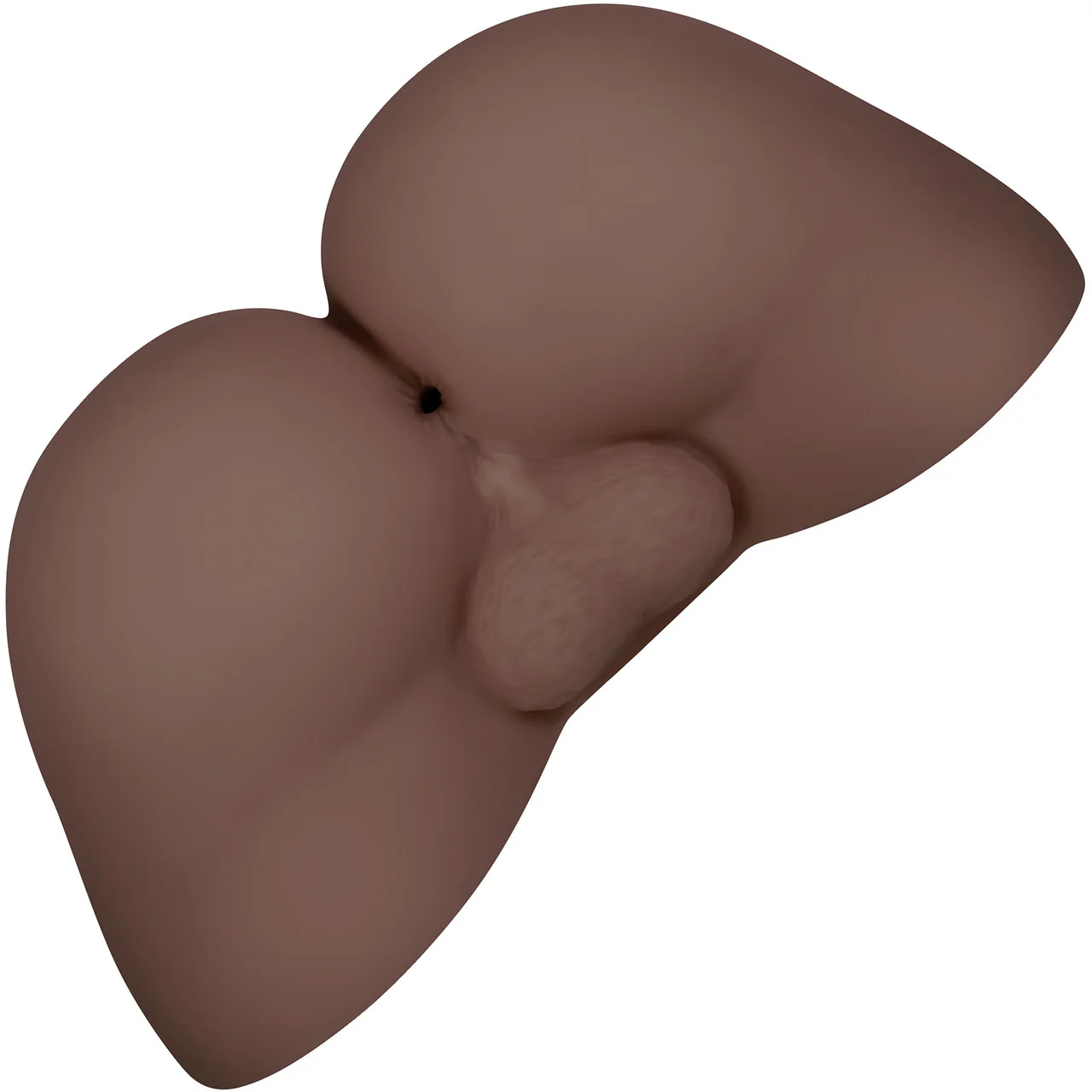 Gender X A Handful Life-Like Ass Penis Masturbator - Chocolate - Image 3