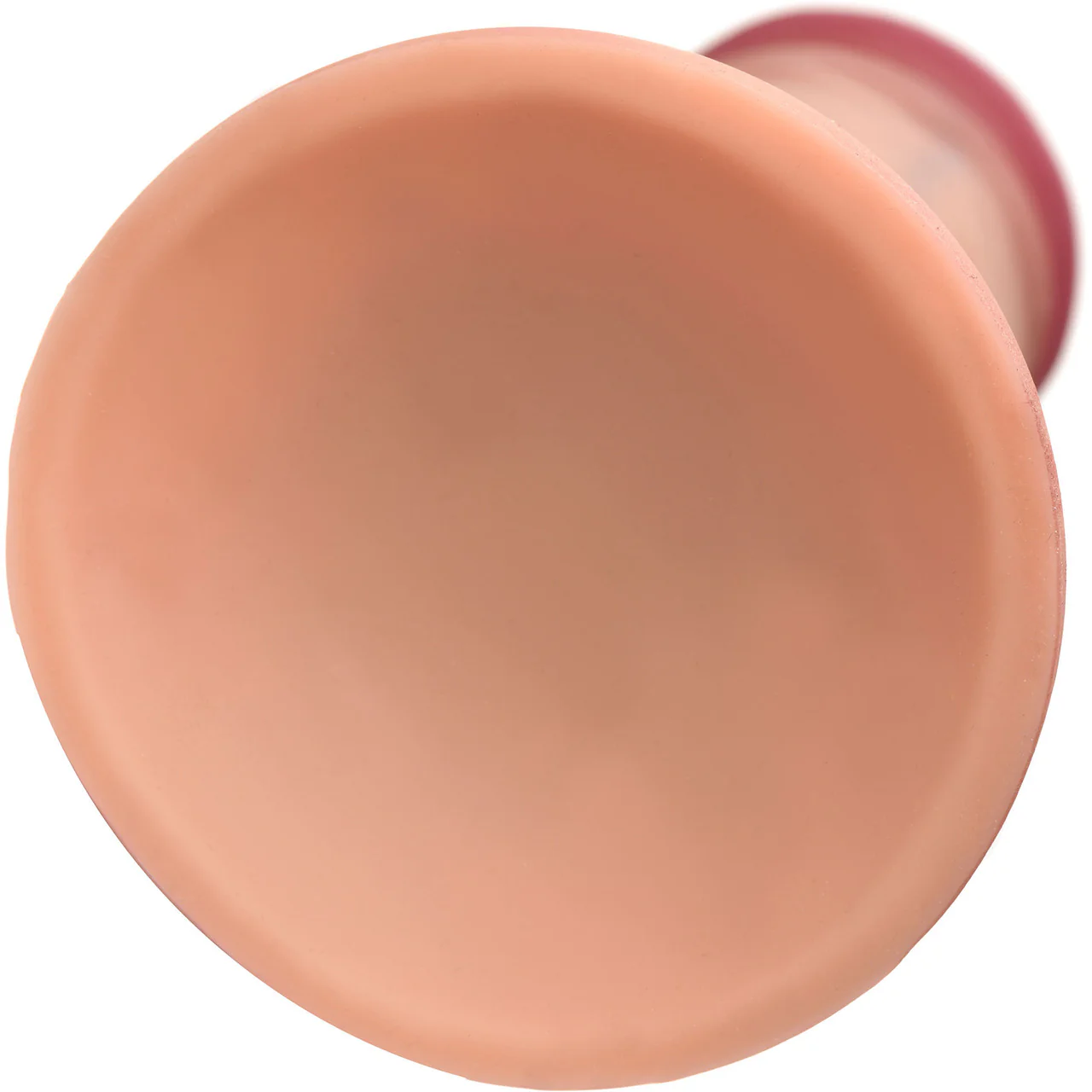 Jock Dual Density 6" Realistic Silicone Suction Cup Dildo - Vanilla - Image 5