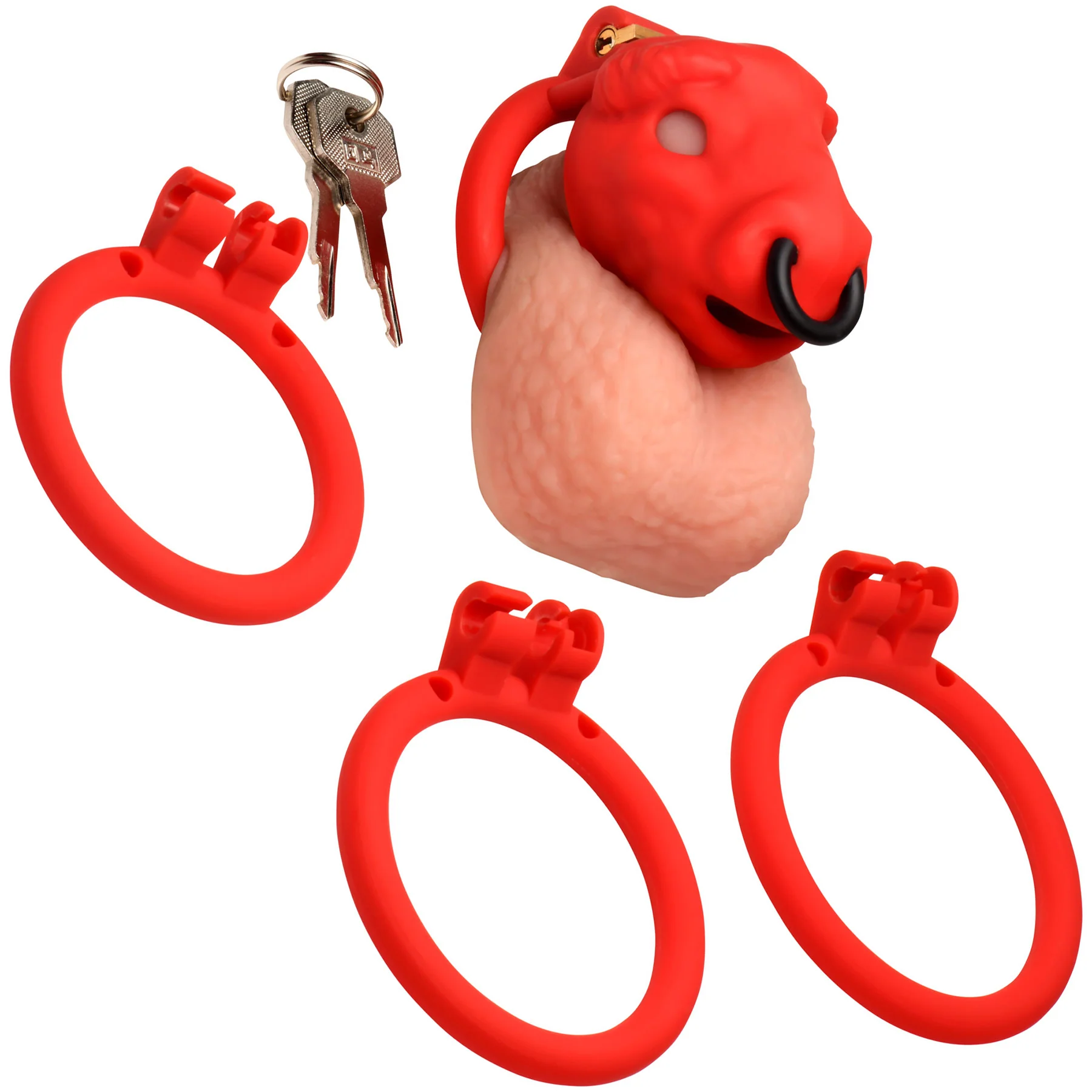 Master Series Bull Chastity Cage With 4 Gradually Sized Rings - Image 17