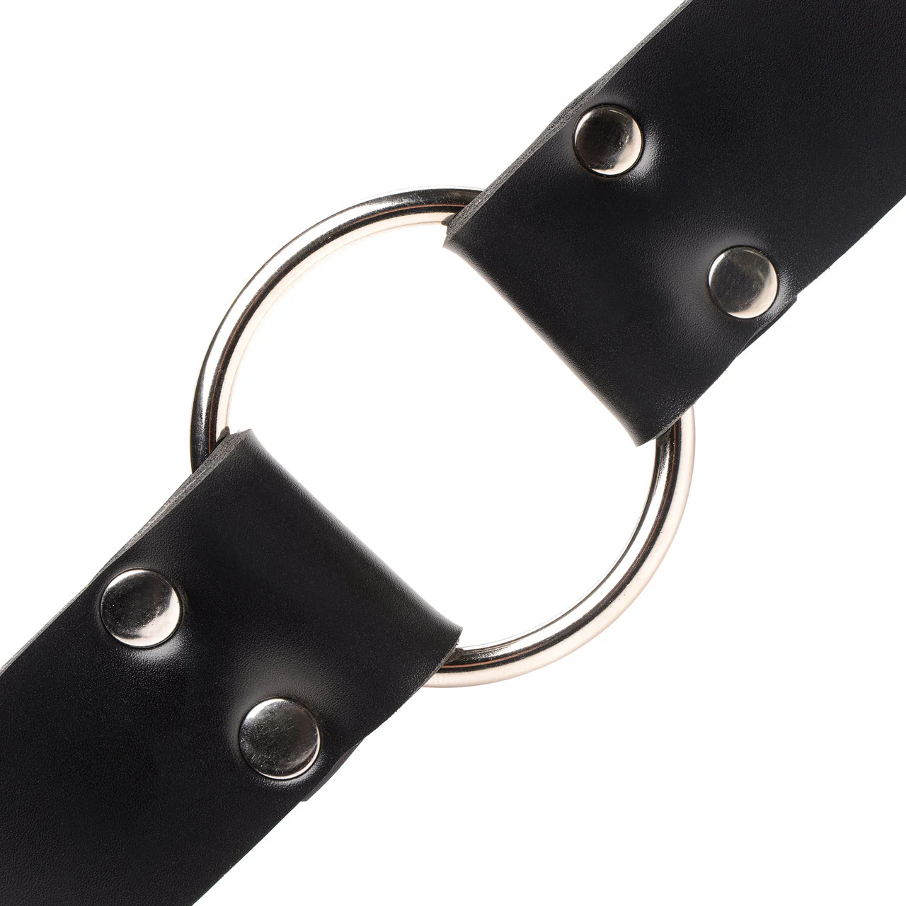 Master Series Strap & Ride Dildo Body & Positioning Strap Harness - Image 3