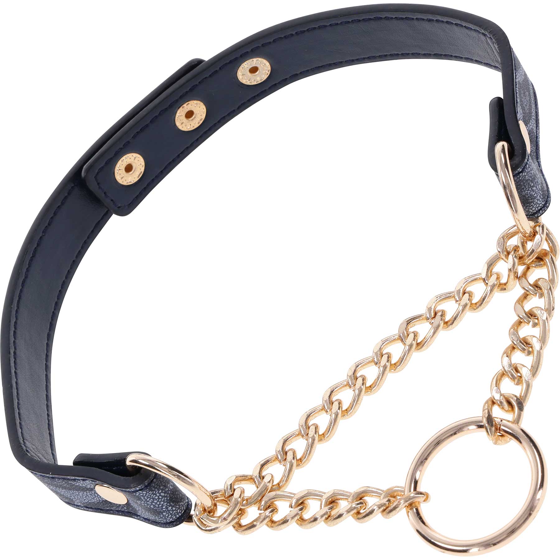 Sex & Mischief Cougar Day Collar By Sportsheets - Image 5
