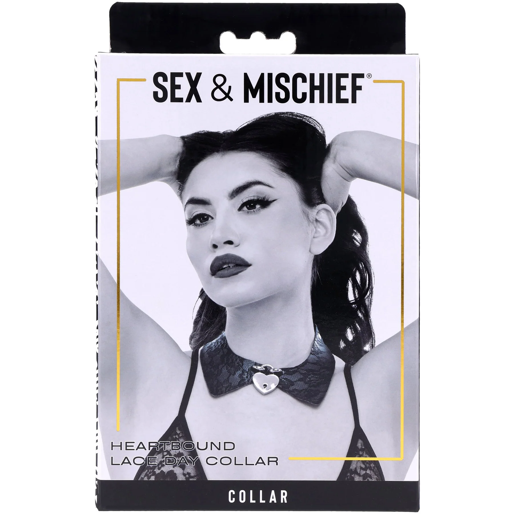 Sex & Mischief Heartbound Lace Day Collar By Sportsheets - Image 11